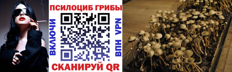 Купить где  Дмитровск  Галлюциногенные грибы прущие грибы 